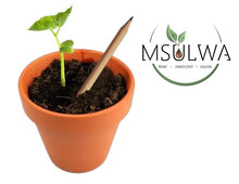 Load image into Gallery viewer, NEW! Seeded Pencil with Seed Paper msulwa-com.