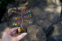 Load image into Gallery viewer, The Msulwa Tree msulwa-com.