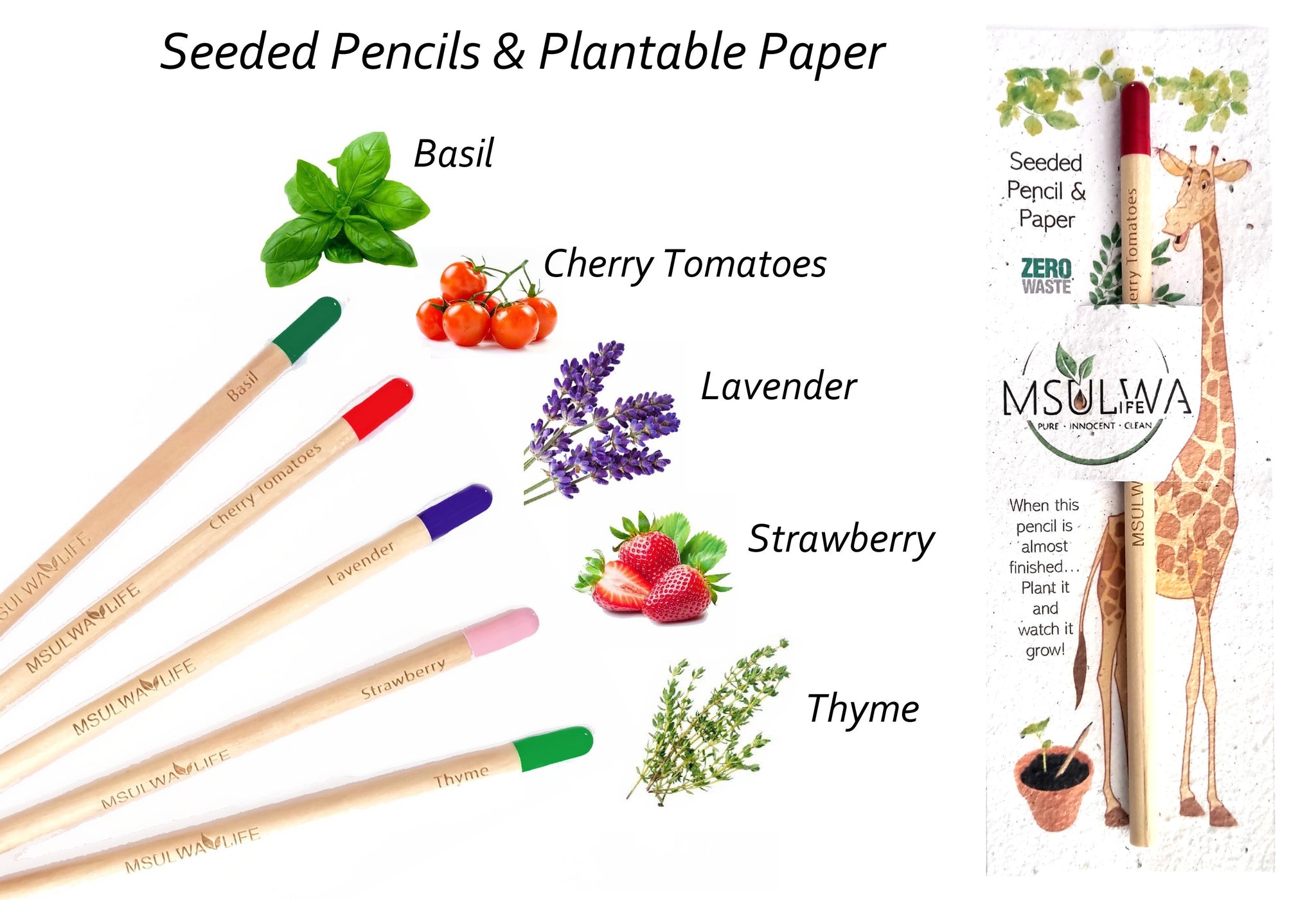 pencil plant seeds Msulwa Plantable Pencil