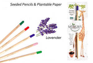 Seeded Pencil with Plantable Seed Paper - Msulwa Life