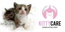 Load image into Gallery viewer, Kitty Care Donation - Msulwa Life
